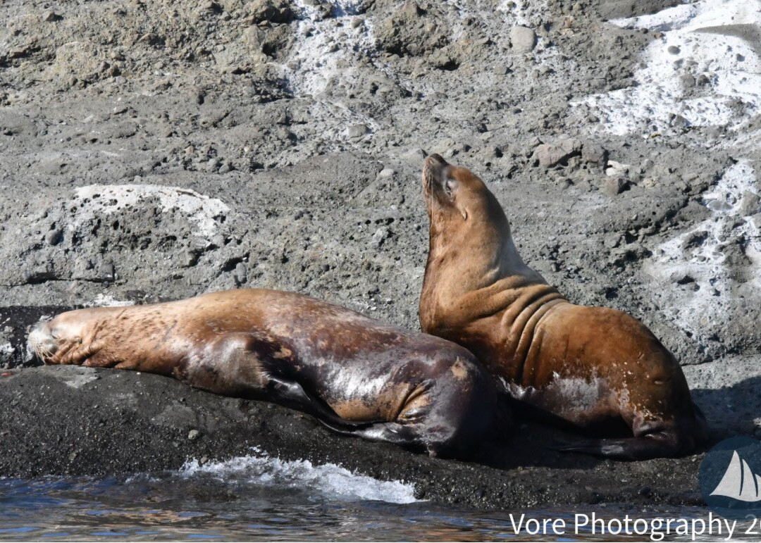 Deer Harbor Charters-Deer Harbor必去景点