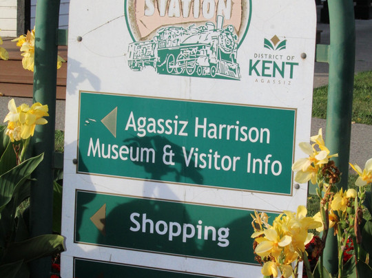 Cabin Fever Junction-阿加斯市必去景点