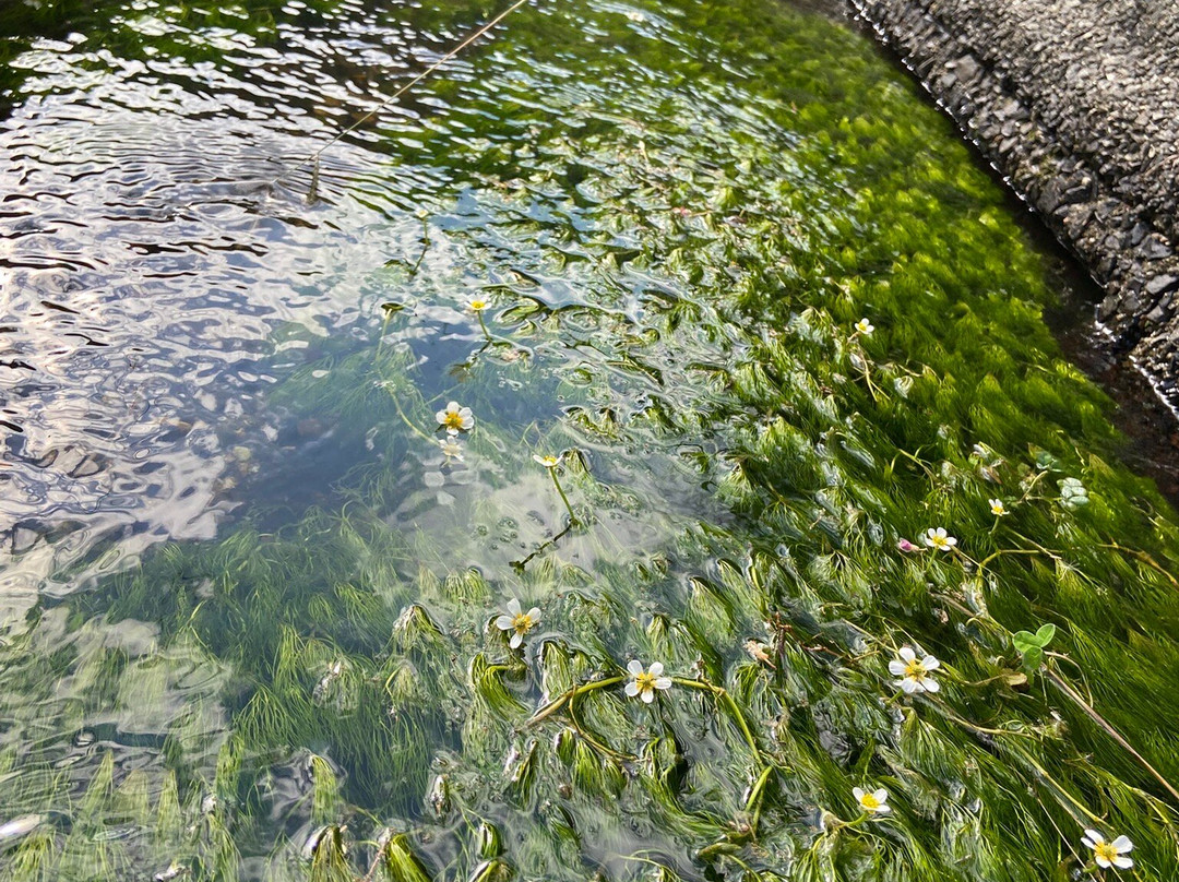 Baikamo Information Sign-神河町必去景点