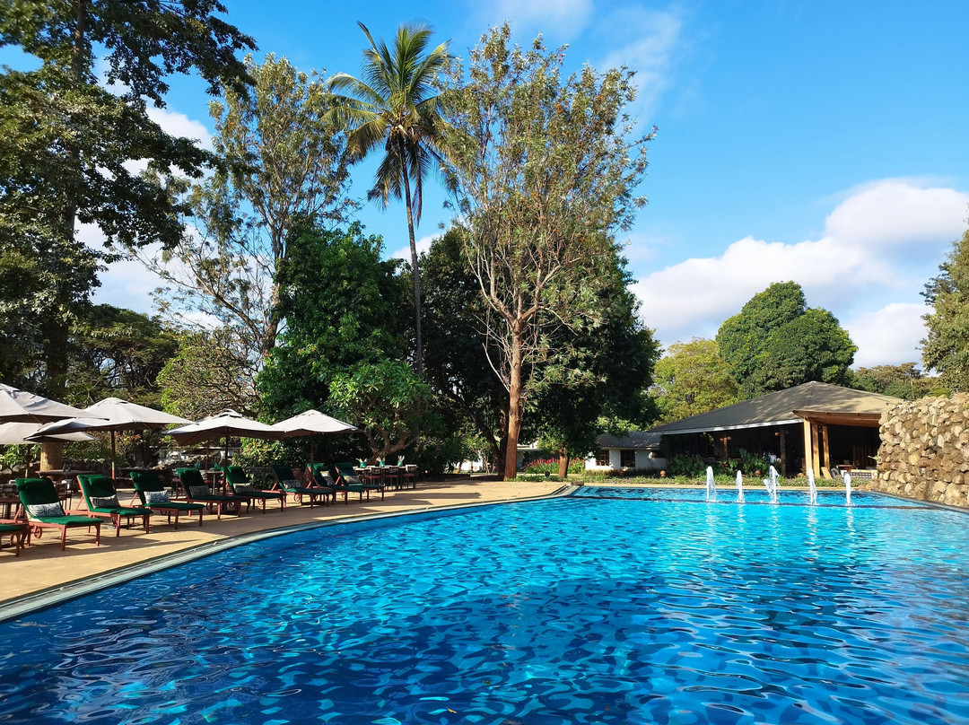 Ameg Lodge Kilimanjaro主图