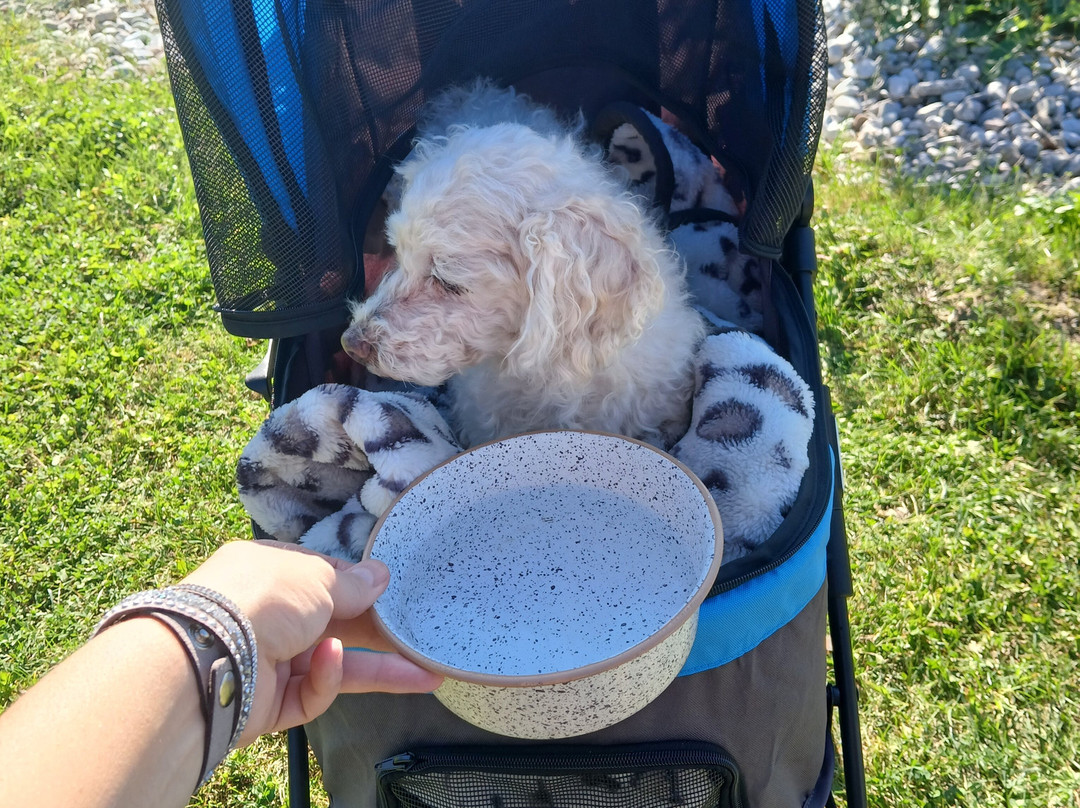 Lakeview Wine Co.-滨湖尼亚加拉必去景点