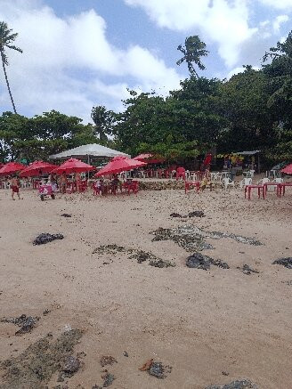 Carapibus Beach-Conde必去景点