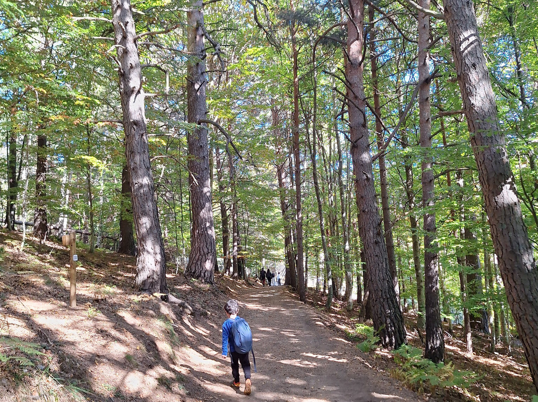 Parque Faunistico - La cuniacha-Biescas必去景点