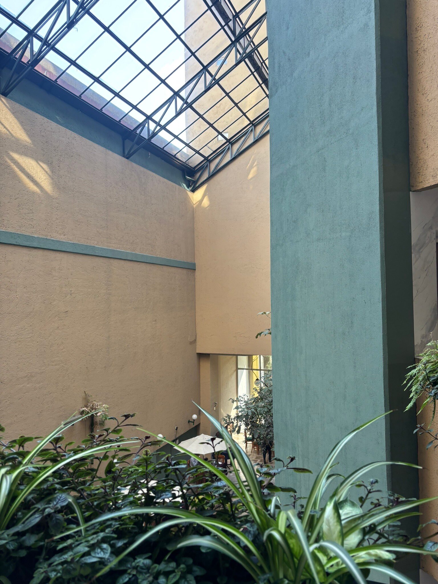 San Francisco Toluca Hotel-官方