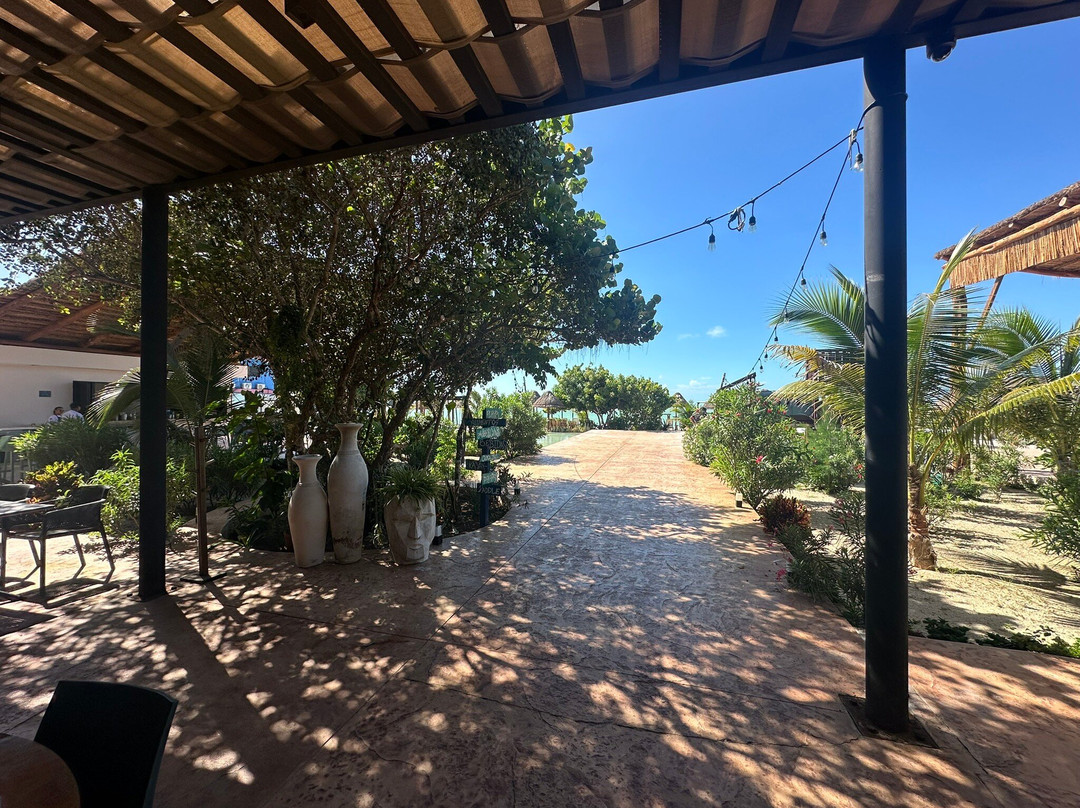 Totem Beach Club-塞莱斯顿必去景点