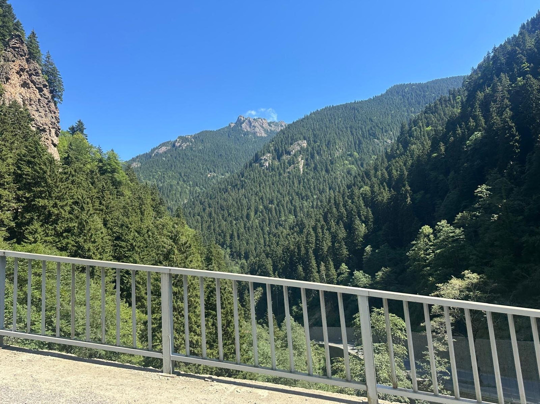 Altindere Vadisi National Park-特拉布宗省必去景点