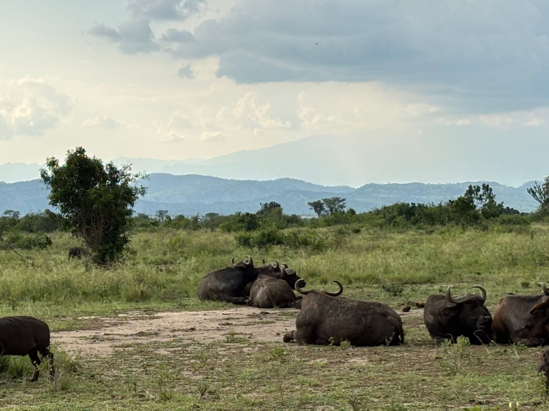 Trek Africa Expeditions-Lyamutundwe必去景点