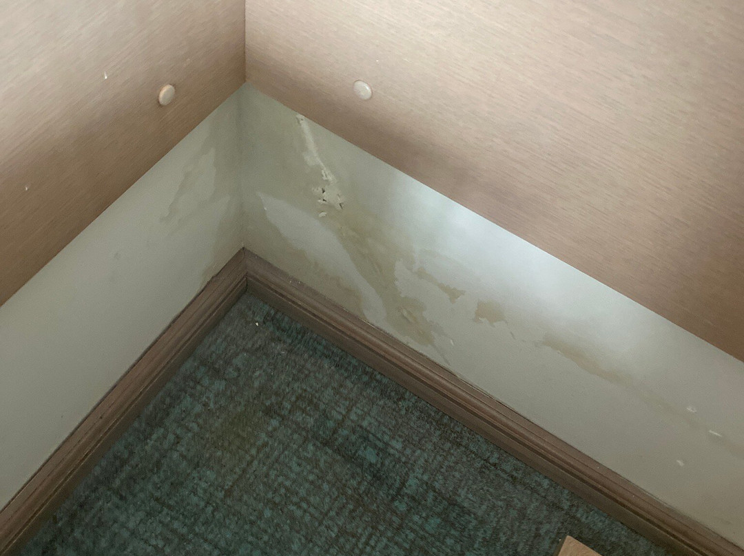 Hotel Metropol主图