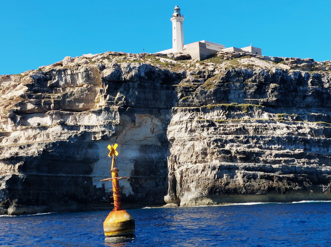 Faro di Capo Grecale-兰佩杜萨必去景点