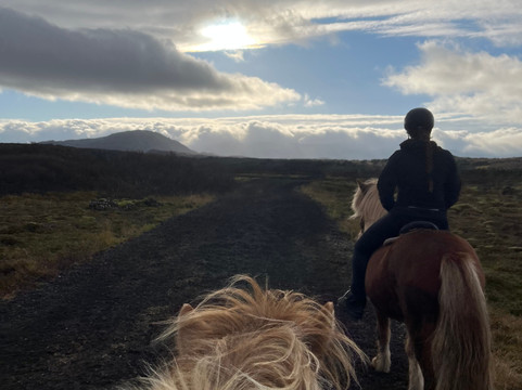 Ishestar Horse Riding Tours-雷克雅未克必去景点
