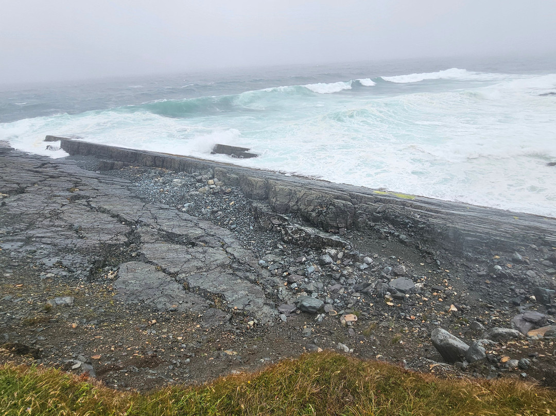 Mistaken Point Ecological Reserve-Portugal Cove South必去景点