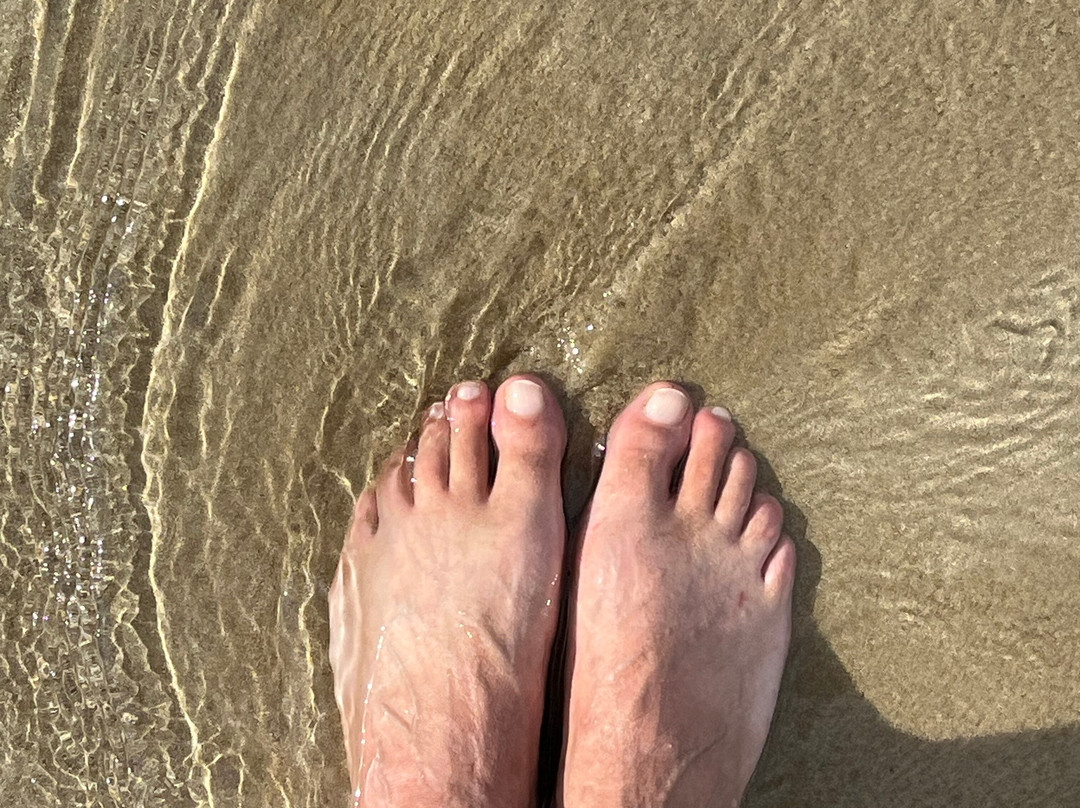 Apollo Bay Beach-阿波罗湾必去景点