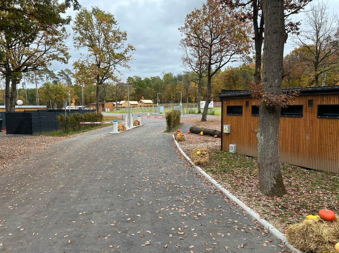 Erlebnispark Schloss Thurn-Heroldsbach必去景点