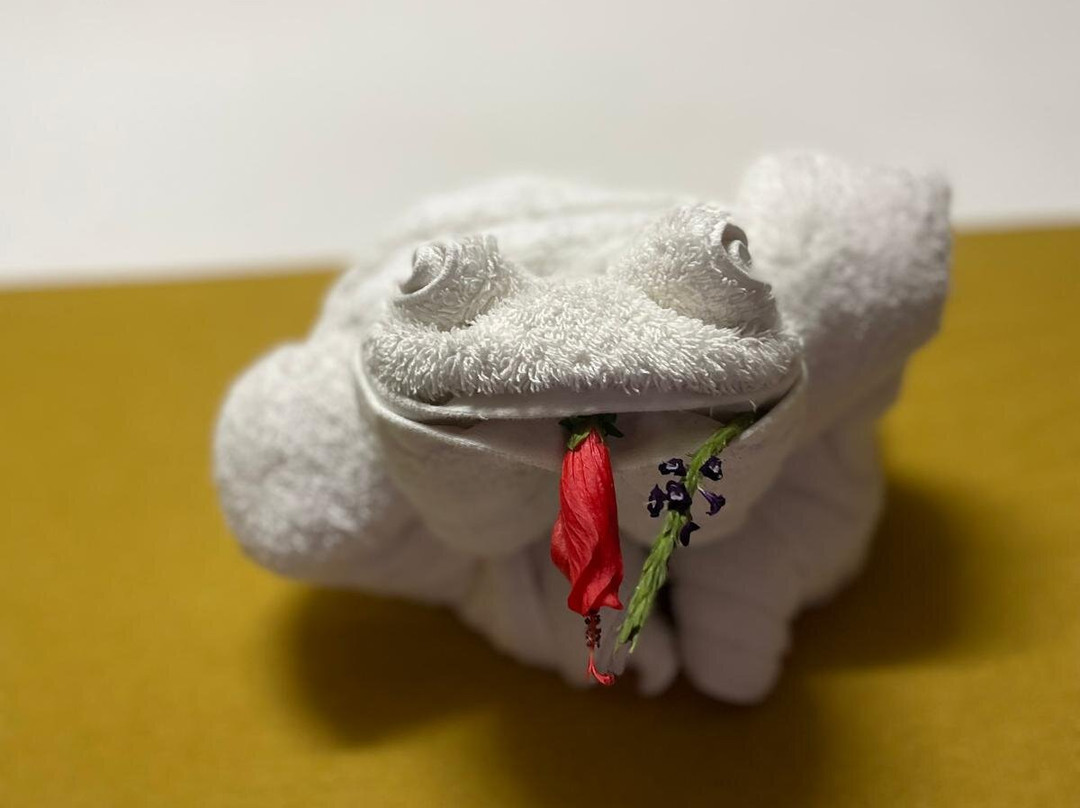 Equator Expeditions-Nayon必去景点