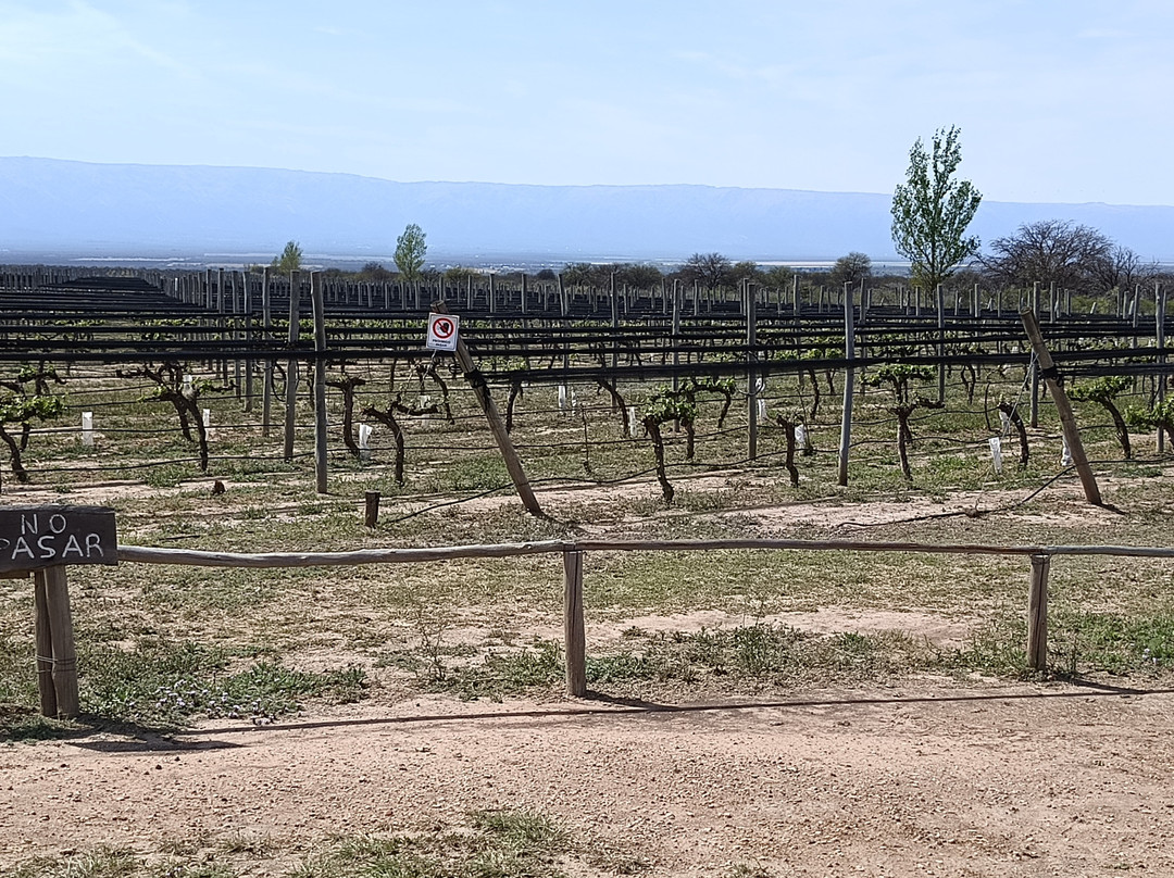 Valle Del Sol Hotel主图