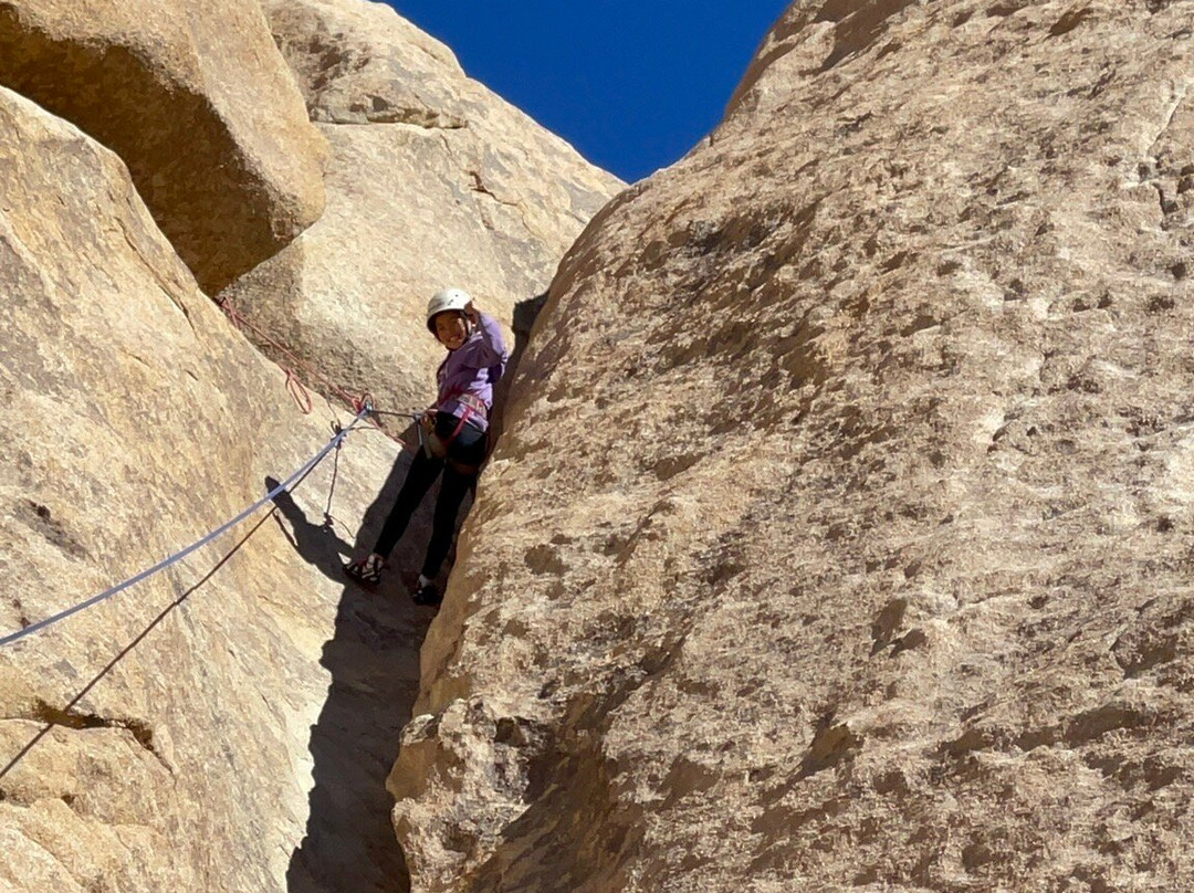 Cliffhanger Guides-约书亚树必去景点