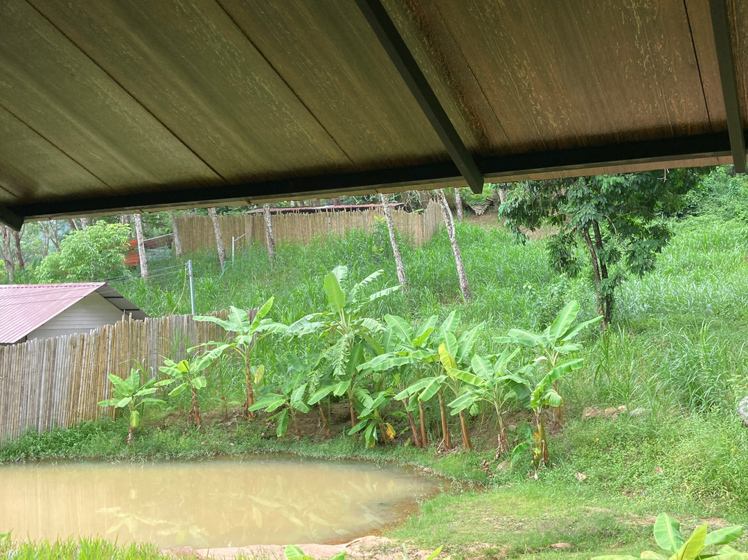 Phuket Elephant Care-奈通必去景点