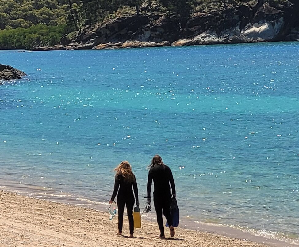 Scamper Island Camping-舒特港必去景点