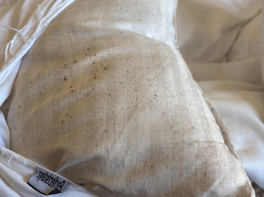 Perfectstayz Koko Maya主图