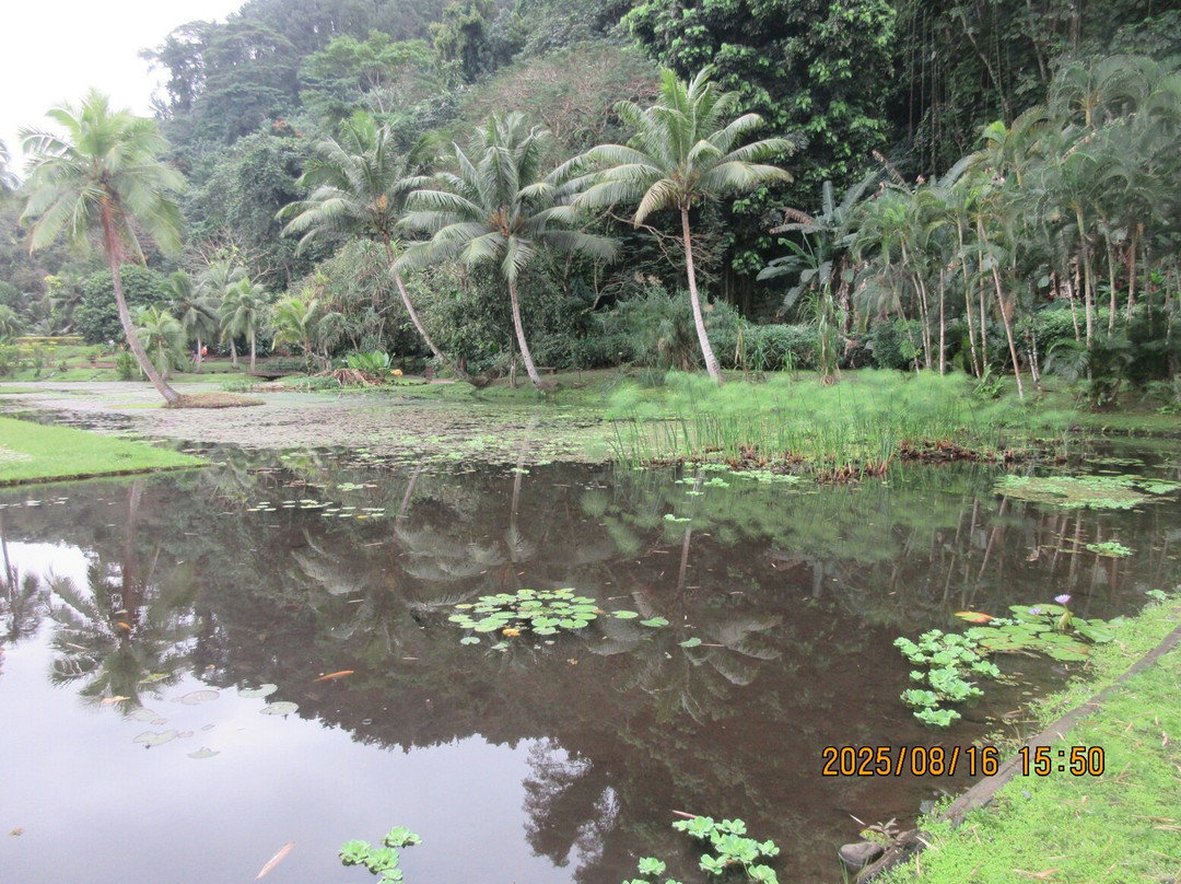 The Water Gardens of  Vaipahi-Taravao必去景点