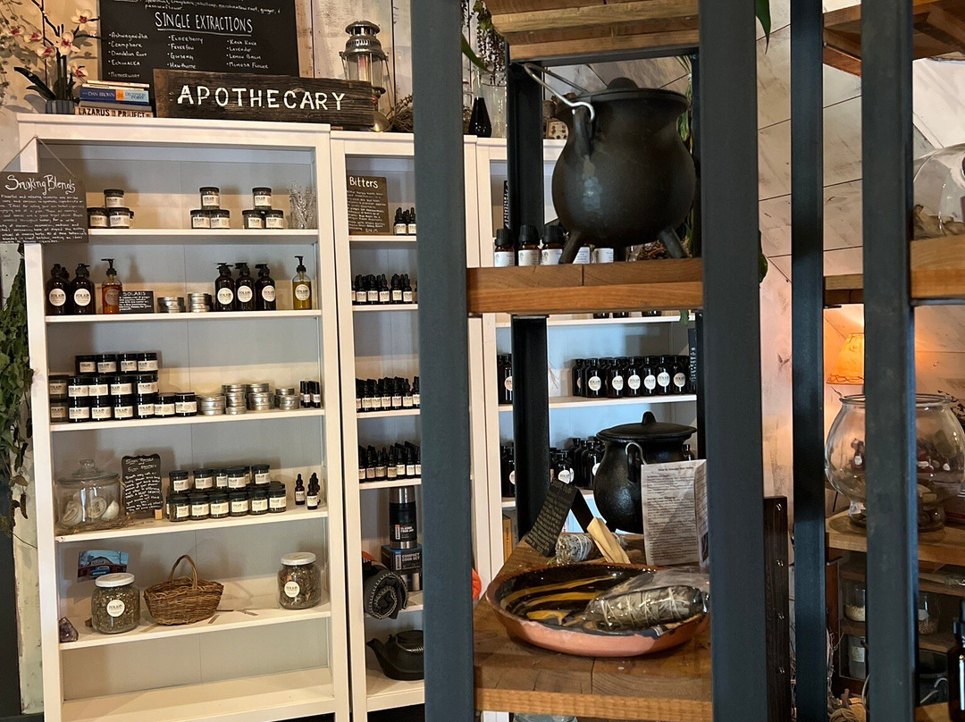 The Folk Collaborative-McCaysville必去景点