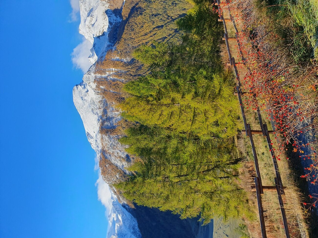 Hotel Belvedere主图