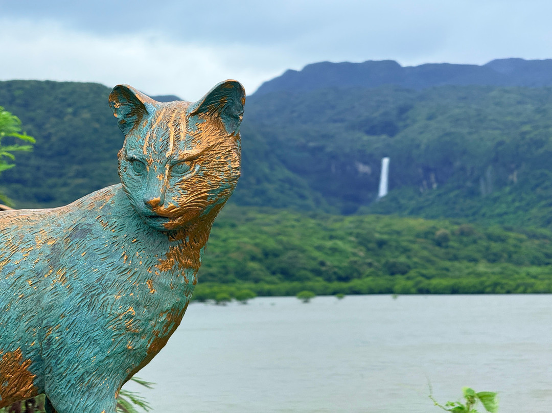 Iriomote Island Kayaks Kazaguruma-竹富町西表岛必去景点