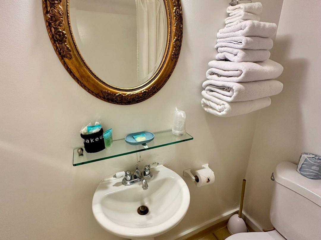 Overland Hotel & Saloon主图