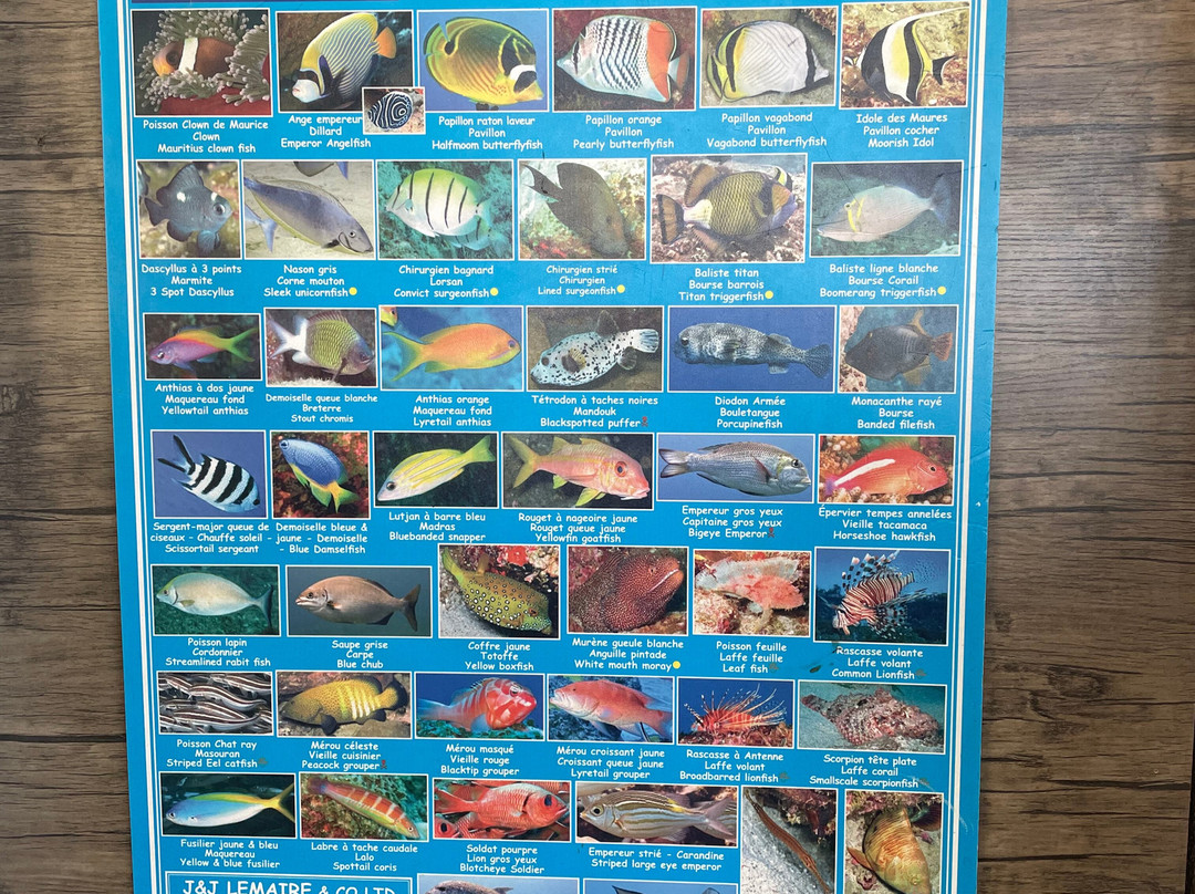 Emperator Diving Center-大湾必去景点