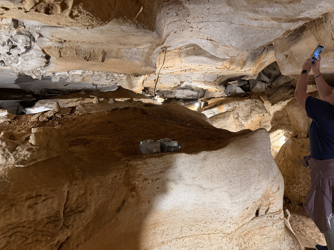 Rickwood Caverns State Park-Warrior必去景点