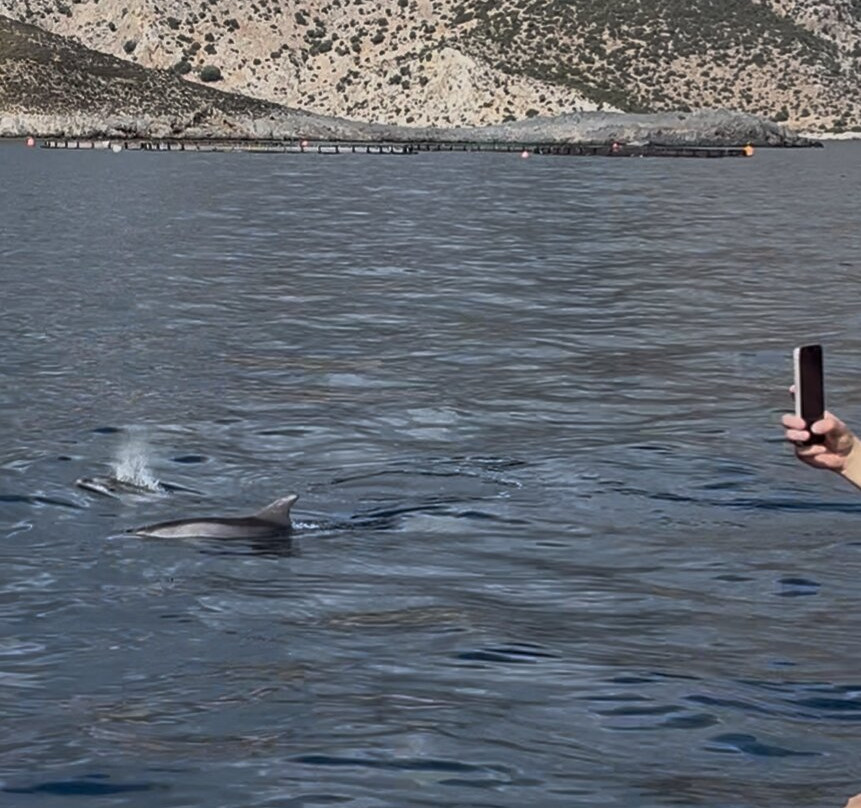 Christina 3 Island Cruise-Kos Town必去景点