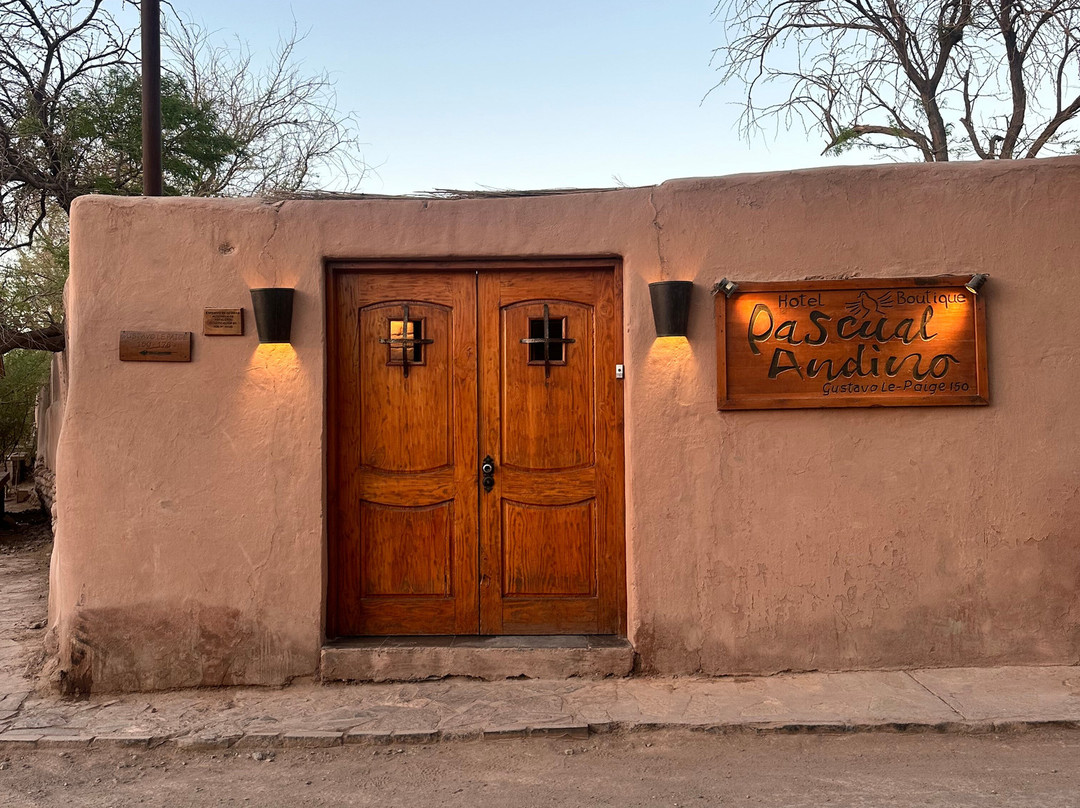 Hotel Pascual Andino主图