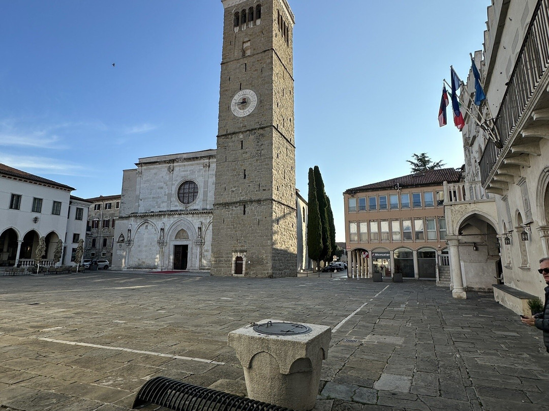 Koper Cathedral and Bell Tower-科佩尔必去景点