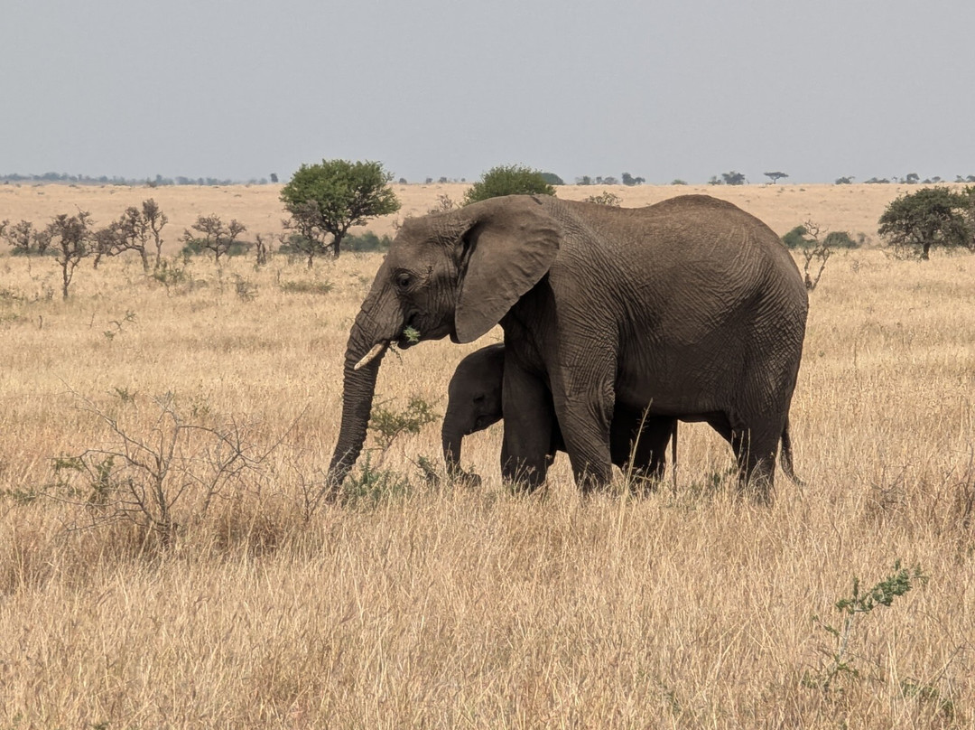 Brilliant Adventures & Safaris-阿鲁沙必去景点