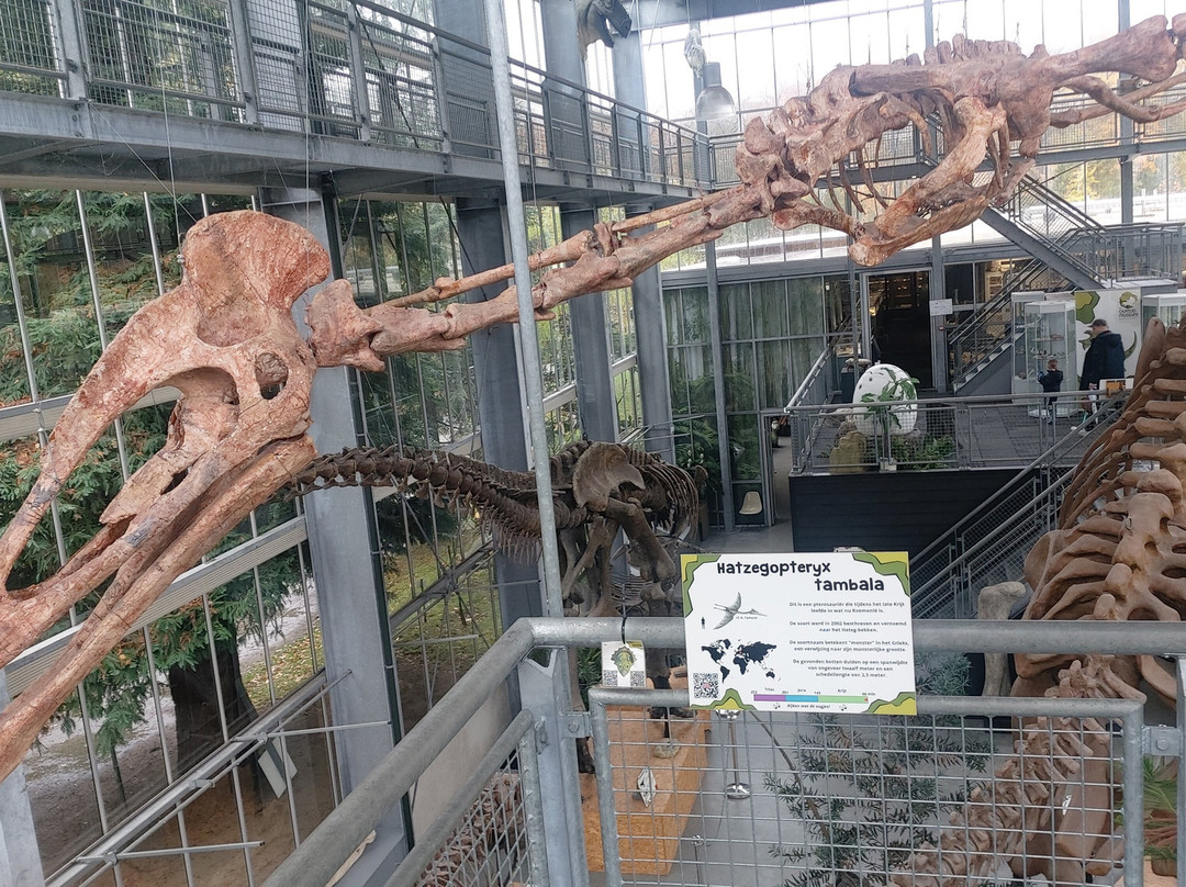 Het Oertijdmuseum-Boxtel必去景点