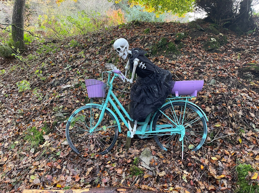 Luggwoods-Saggart必去景点