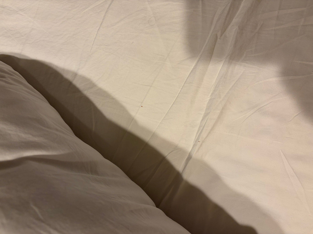 Renaissance Allentown Hotel主图