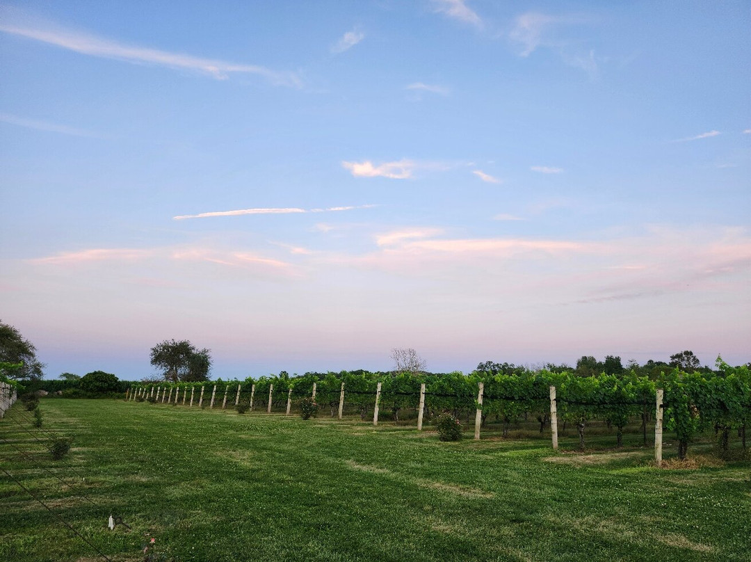 Jonathan Edwards Winery-北斯托宁顿必去景点