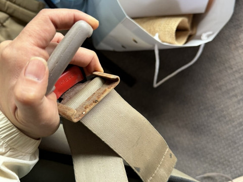 Walk with Us Africa主图