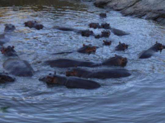 Wild Springs Adventures-内罗毕必去景点