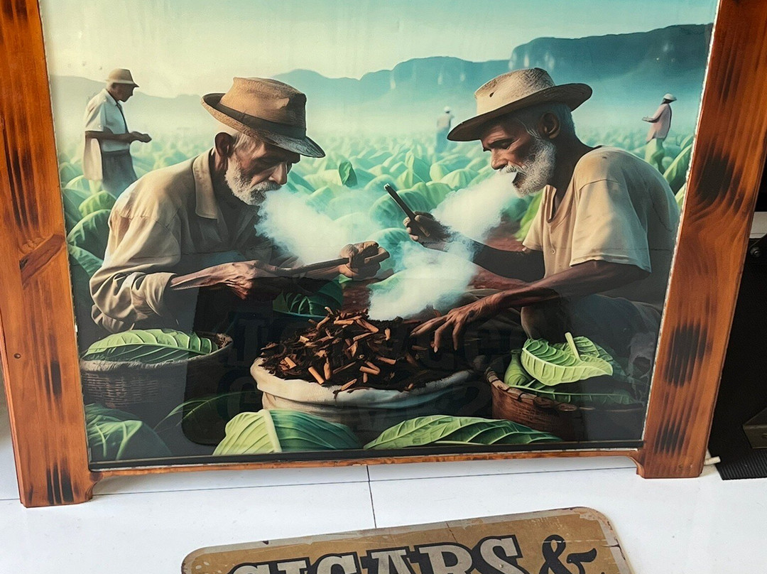 迈阿密小哈瓦那街区-迈阿密必去景点