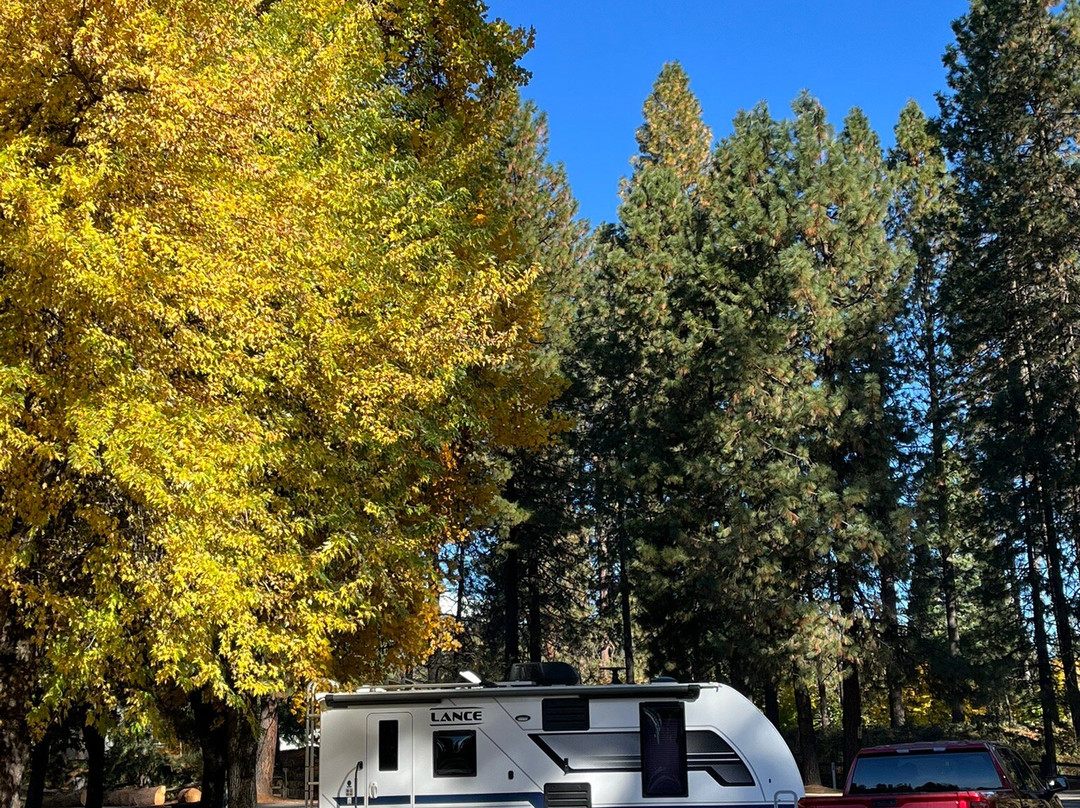 Mccloud Rv Resort