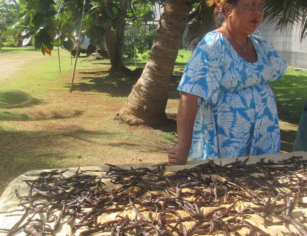 Island Eco Tours : Huahine-Fare必去景点