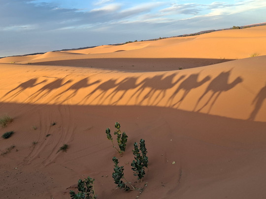 Blue Turbans Adventures-迈哈米德必去景点