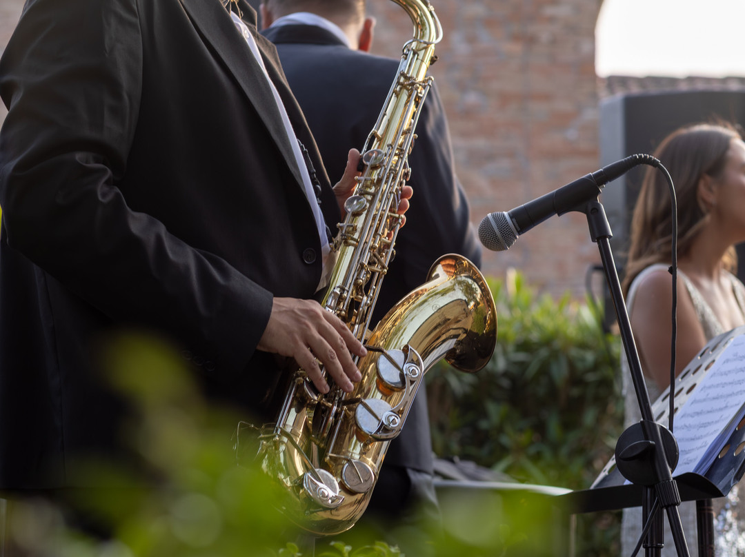 Castello di Ribano-鲁比科内河畔萨维尼亚诺必去景点