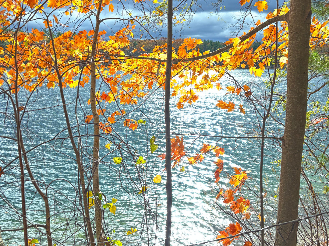 Thoreau House-康科德必去景点