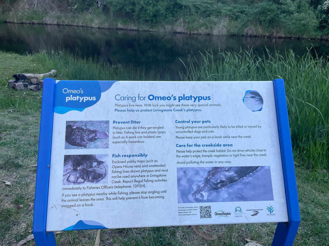 Livingstone Park-Omeo必去景点