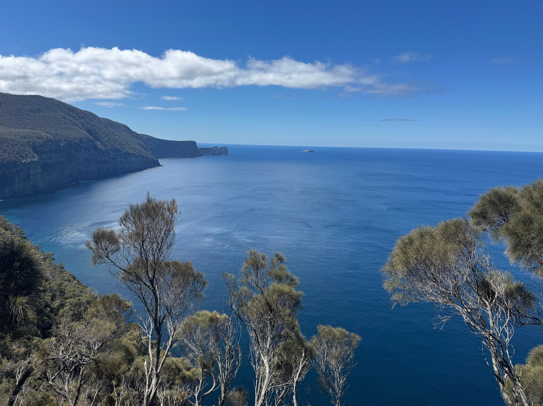 Tasmanian Walking Company-朗塞斯顿必去景点