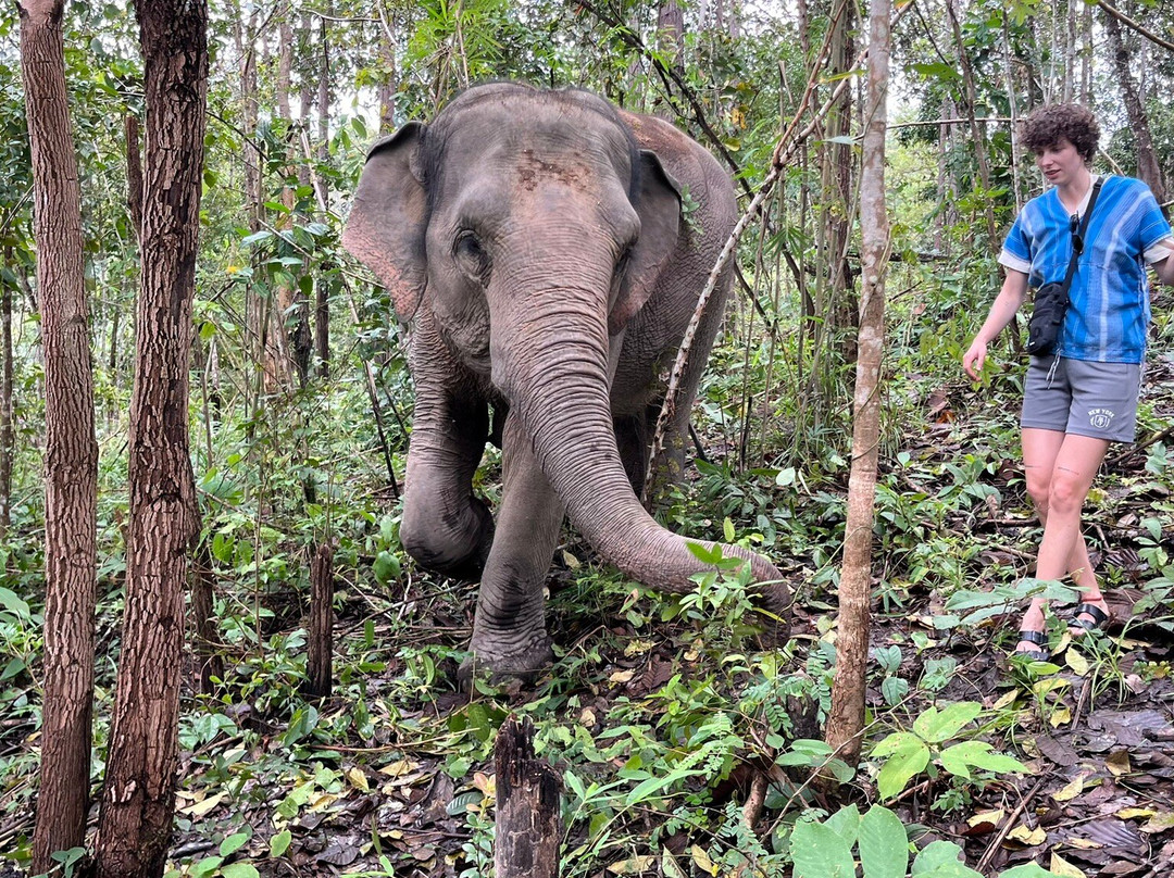 丛林天堂大象园-Mae Win必去景点
