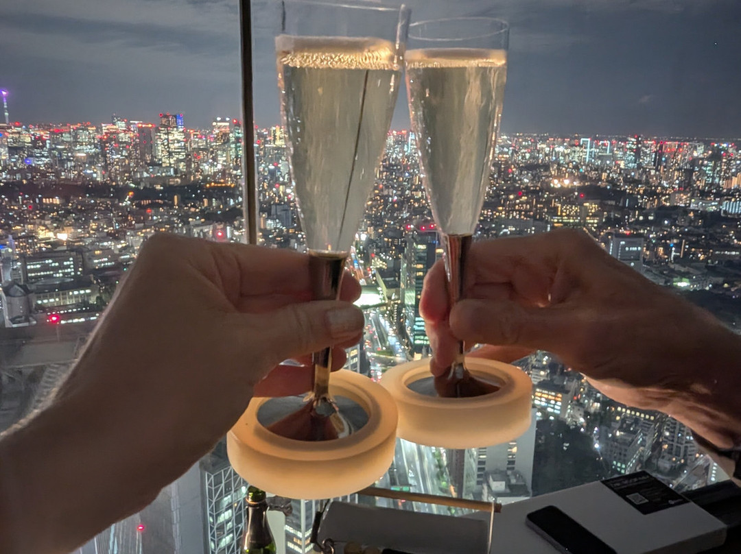 Shibuya Sky-涩谷区必去景点